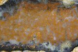 Polished Trent Agate With Stibnite & Realgar - Oregon #141192-1